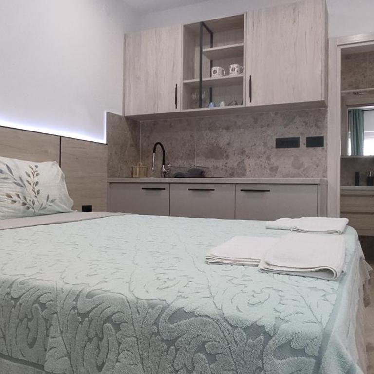 Apartments Cejovic - Economy Studio - 2