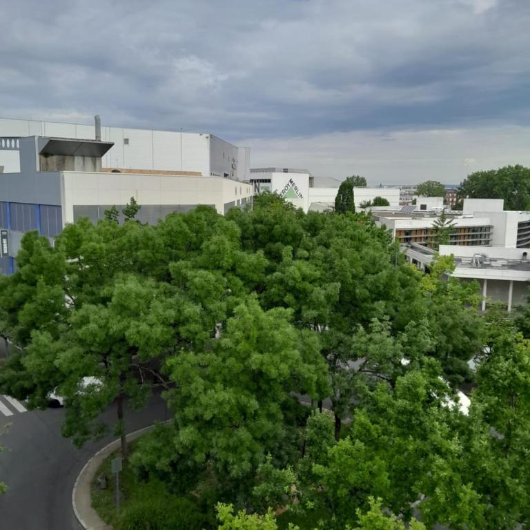 Olympe Stade de France - Apartamento de 2 dormitorios con balcón - 11