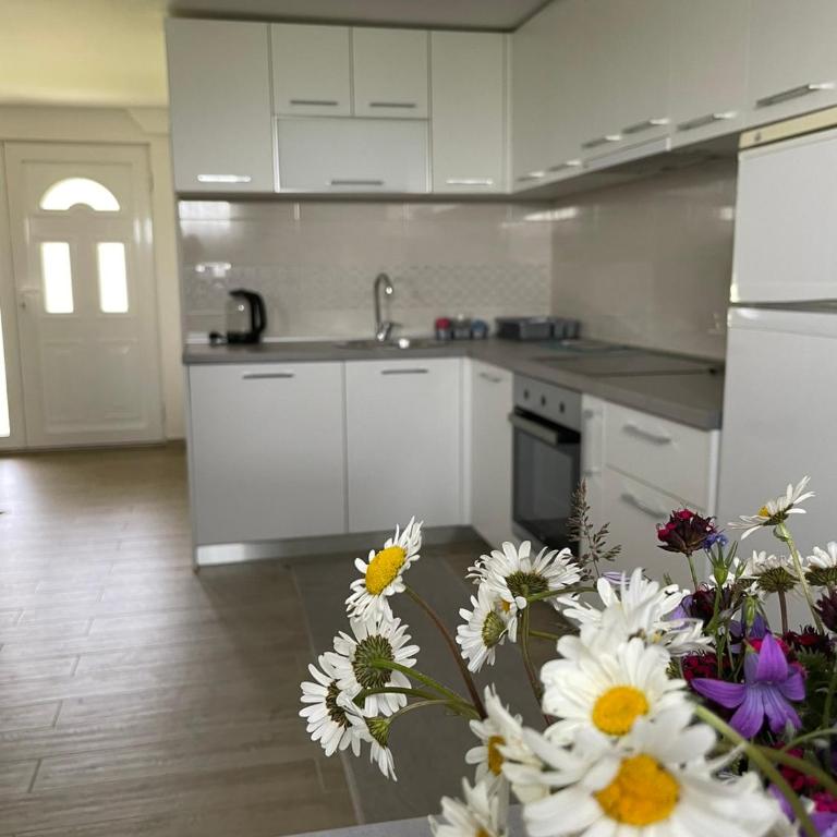 Montenegro High Mountain Apartment - Apartment - 5