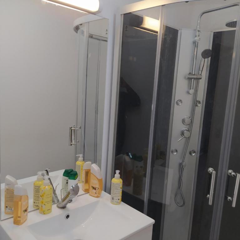 Locatif gare Lille Europe Souvenir - Chambre Double - 7
