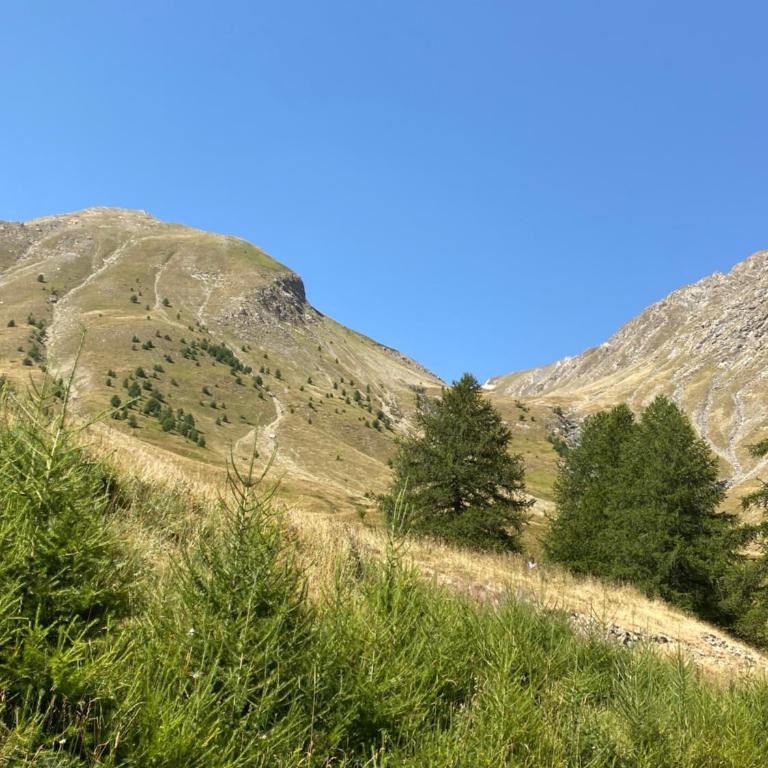 Studio Foux D'Allos aux pieds des pistes - Studio - Vue sur Montagne - 7
