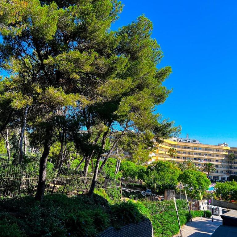 Salou Park - Unik Vacation - Apartamento de 1 dormitorio - 9