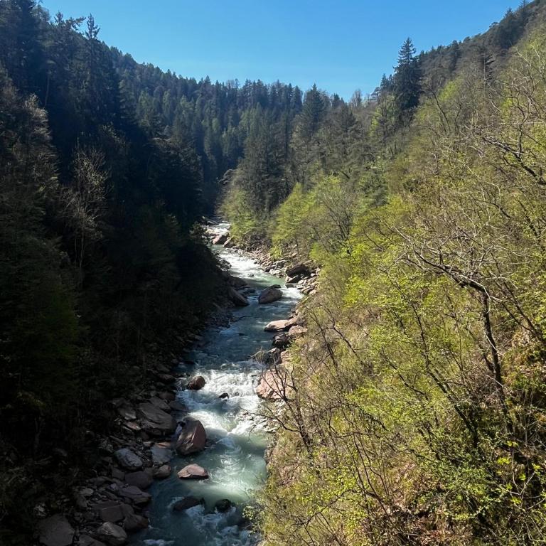 Terme di Comano - A due passi dalla Natura & Dolomiti - Estudio con balcón - 8