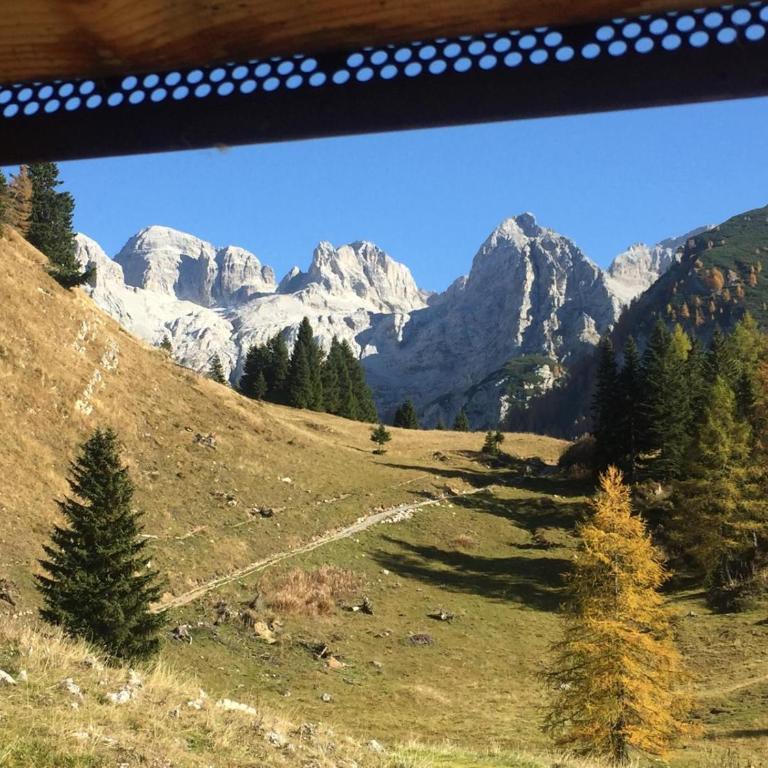 Terme di Comano - A due passi dalla Natura & Dolomiti - Estudio con balcón - 4
