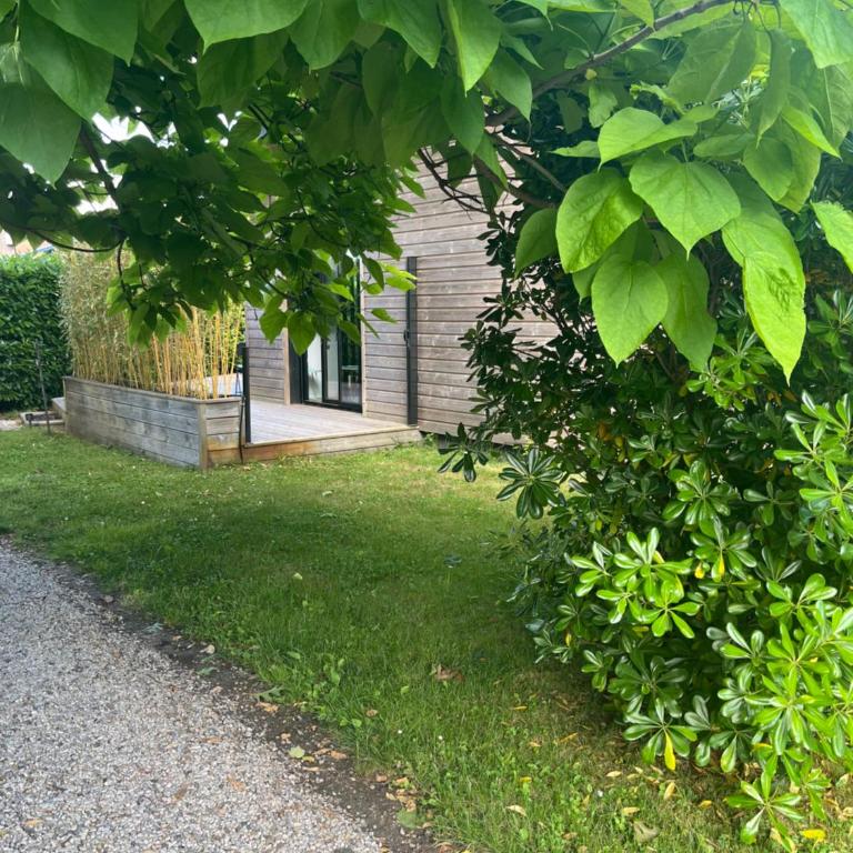 Casa Tagomago - Maison 1 Chambre - 14