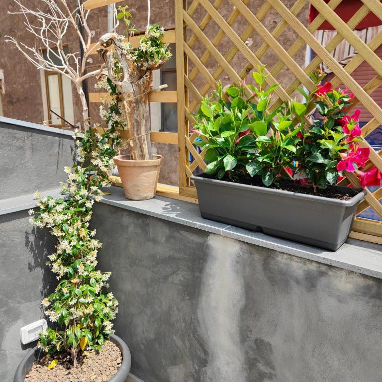 Ciaurimari Sicilian Suite con Terrazza - One-Bedroom House - 27