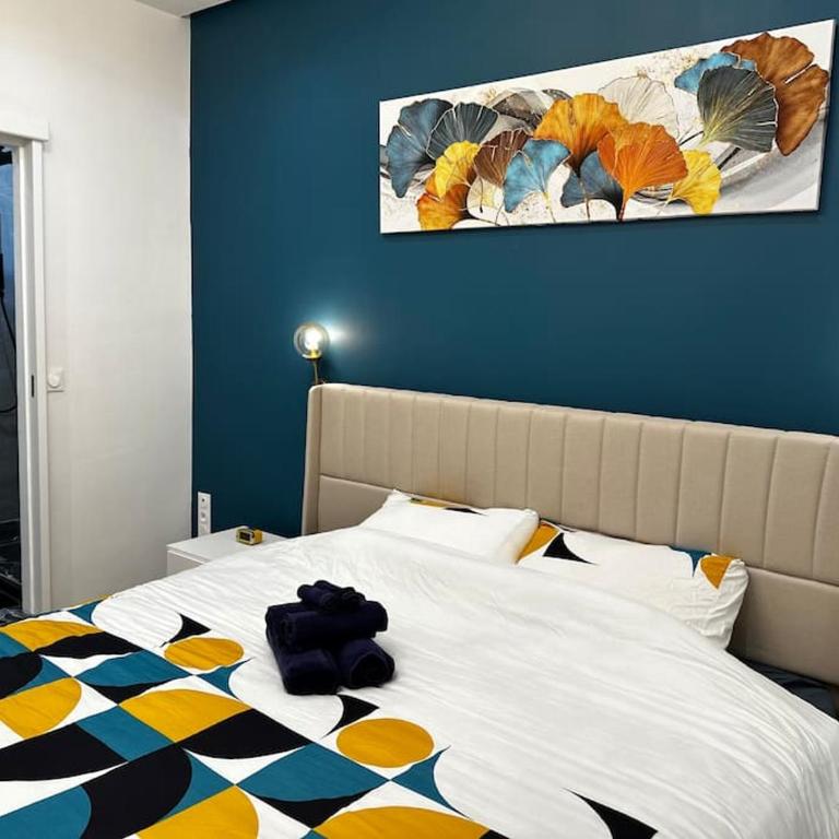 Chic Renovated Home - Nice Libération - Entire 2BR 2BA Apartment or Private Rooms with Private Bathrooms - AC and Garage on request - Appartement 2 Chambres - 20