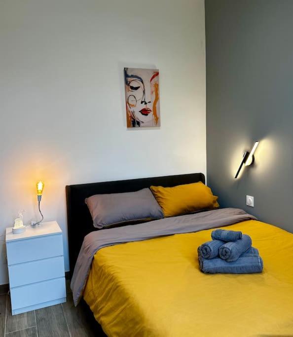 Chic Renovated Home - Nice Libération - Entire 2BR 2BA Apartment or Private Rooms with Private Bathrooms - AC and Garage on request - Appartement 2 Chambres - 21