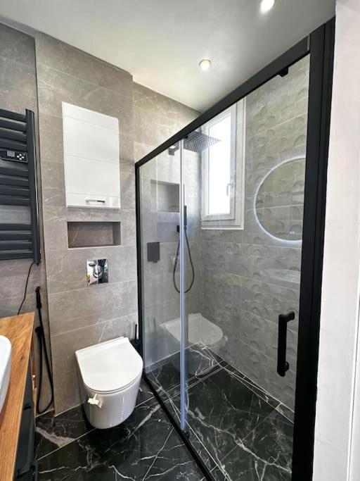 Chic Renovated Home - Nice Libération - Entire 2BR 2BA Apartment or Private Rooms with Private Bathrooms - AC and Garage on request - Appartement 2 Chambres - 42