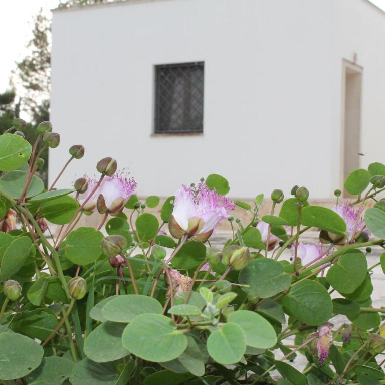 La pietra di Luca guest house - Casa con 3 Camere da Letto - 51