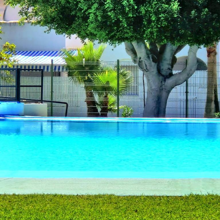 La almadraba - Apartamento de 2 dormitorios - 23