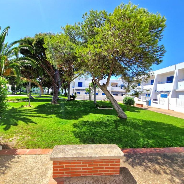 La almadraba - Apartamento de 2 dormitorios - 17
