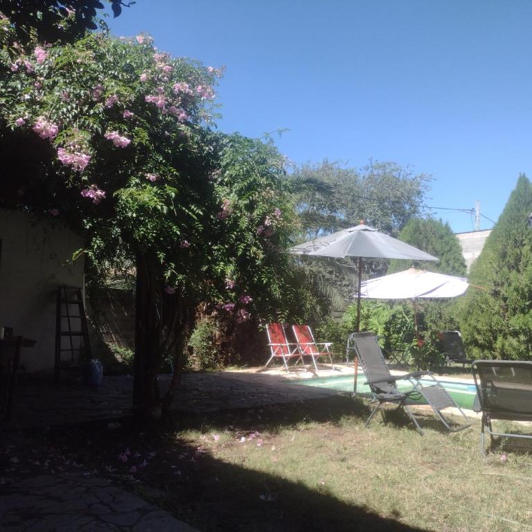 Lalaenes - Casa de 2 dormitorios - 6