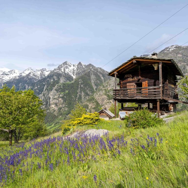 korn-stadel ARIDA PRATA "natur pur" - Chalet - 34