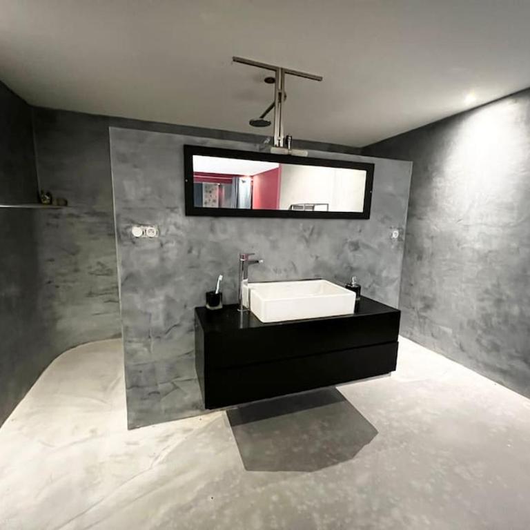 Grand loft proche du centre avec jardin et piscine - Villa - 27