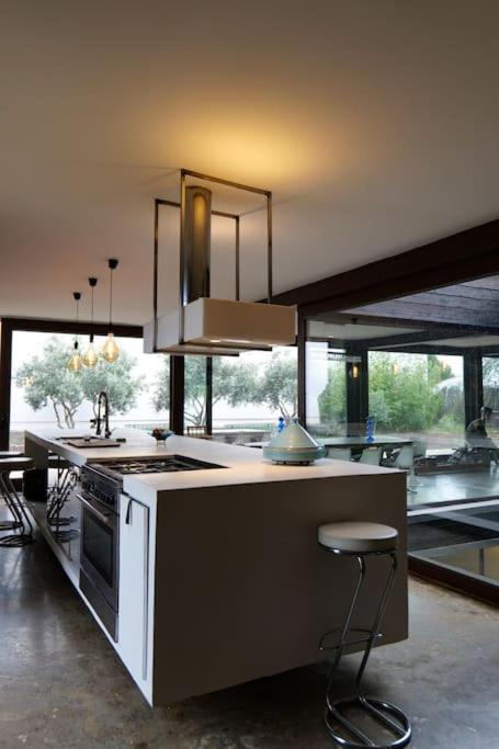 Grand loft proche du centre avec jardin et piscine - Villa - 39