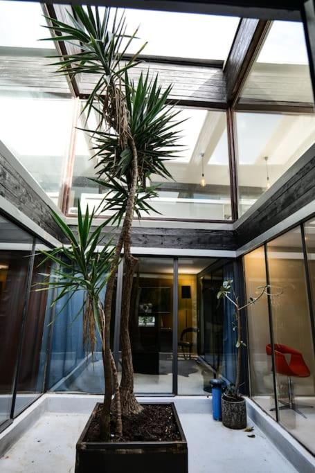Grand loft proche du centre avec jardin et piscine - Villa - 44