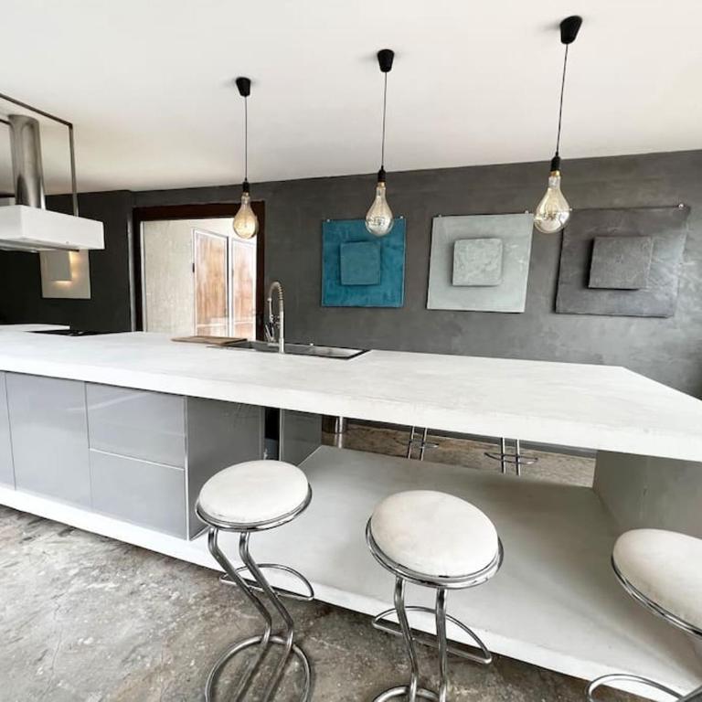 Grand loft proche du centre avec jardin et piscine - Villa - 49