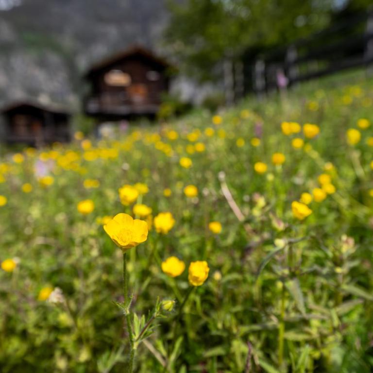 korn-stadel ARIDA PRATA "natur pur" - Chalet - 38