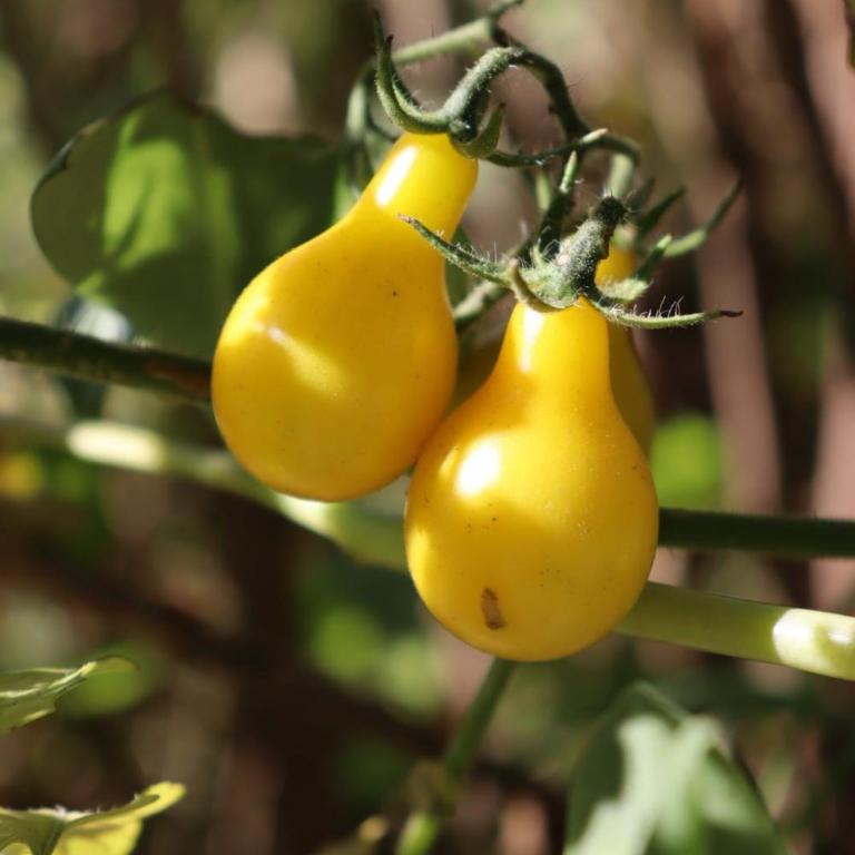 Incayuyo Cabañas - Casa con 1 dormitorio - 13