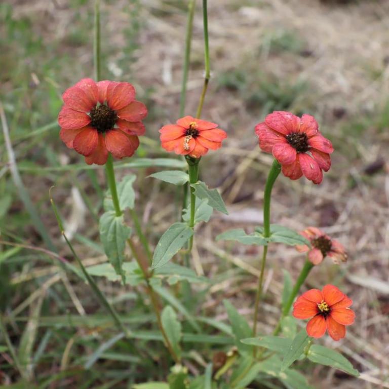 Incayuyo Cabañas - Casa con 1 dormitorio - 17
