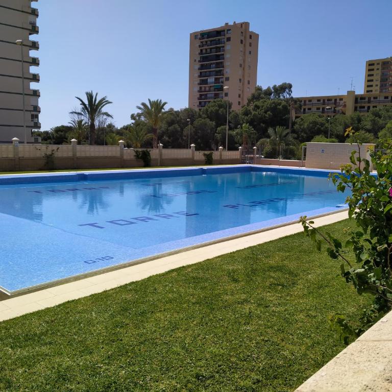 Estudio Paraiso - Apartamento de 1 dormitorio - 2