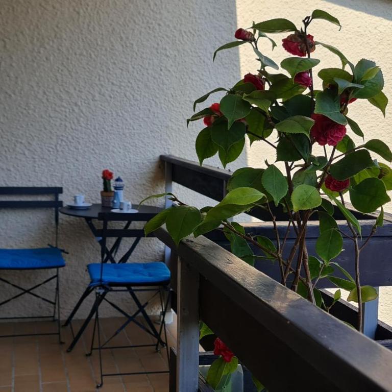 Appartement lumineux dans résidence calme et arborée - Appartamento con 1 Camera da Letto - 5