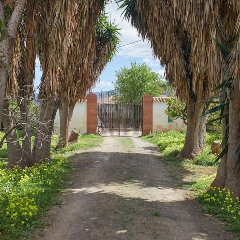 Finca La Madreselva - Three-Bedroom Townhouse - 33