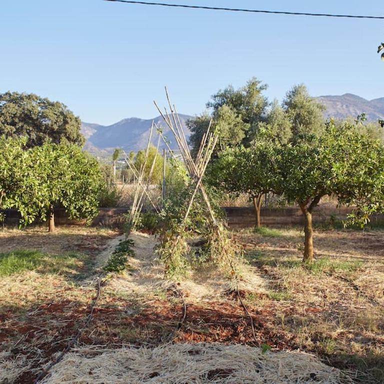 Finca La Madreselva - Three-Bedroom Townhouse - 38