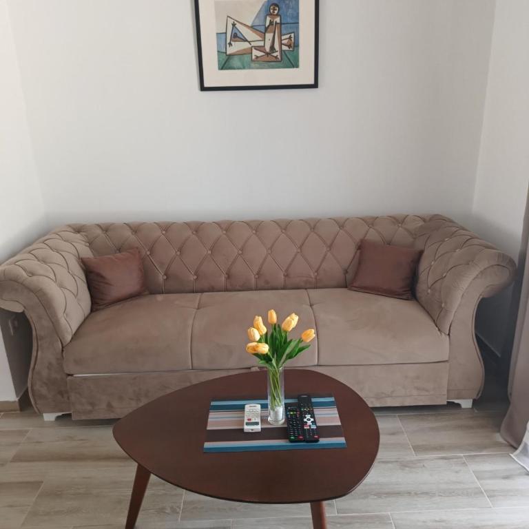 Darija - One-Bedroom Apartment - 6