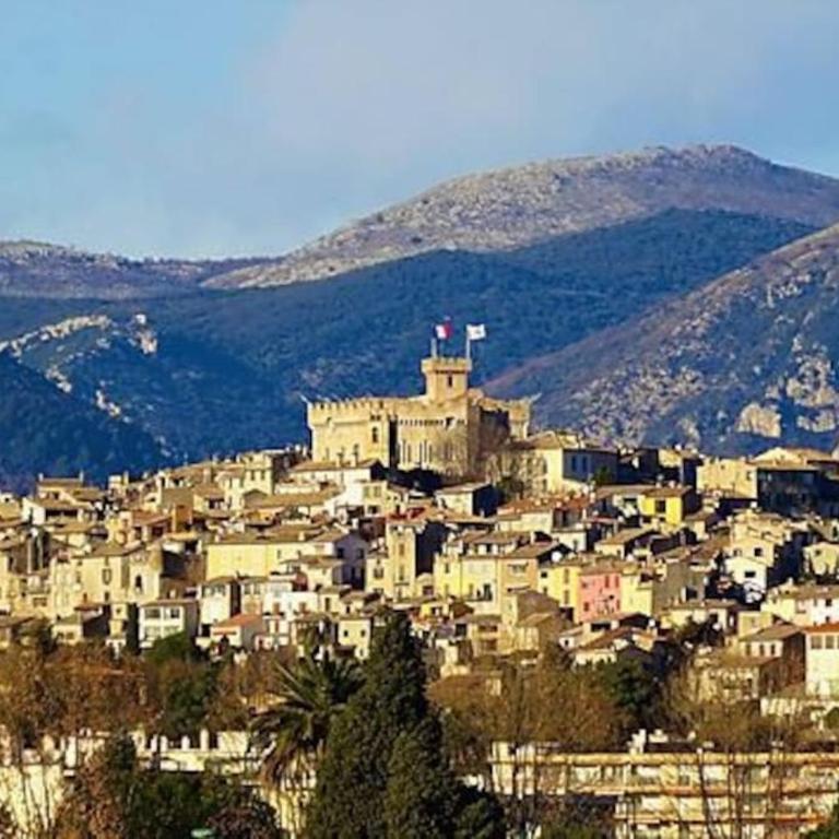 Splendide T2, 200m de la mer, climatisé, parking - Apartamento de 1 dormitorio con balcón y vistas a la montaña - 28