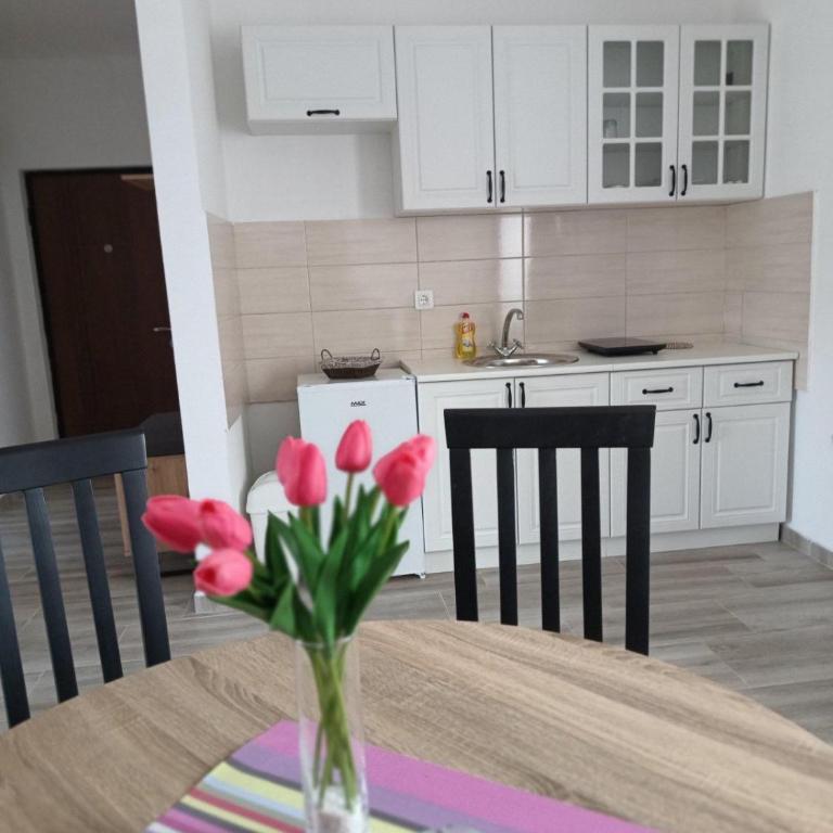 Darija - One-Bedroom Apartment - 5