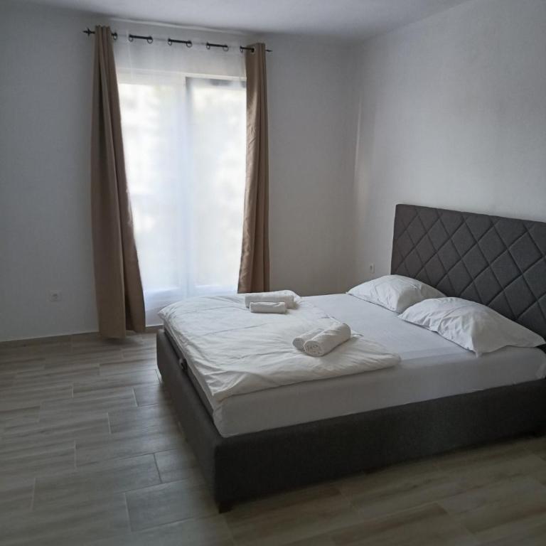 Darija - One-Bedroom Apartment - 7
