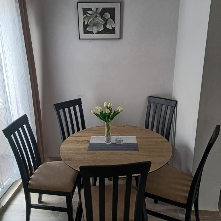 Darija - One-Bedroom Apartment - 11