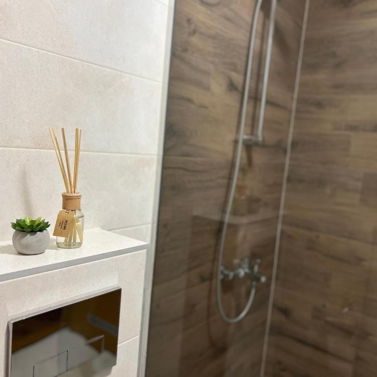 Prirodni Raj-Udoban Sokobanja Apartman - Apartman sa 1 Spavaćom Sobom - 17