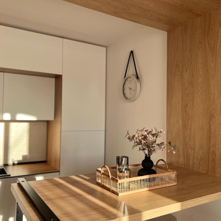 Prirodni Raj-Udoban Sokobanja Apartman - Apartman sa 1 Spavaćom Sobom - 10