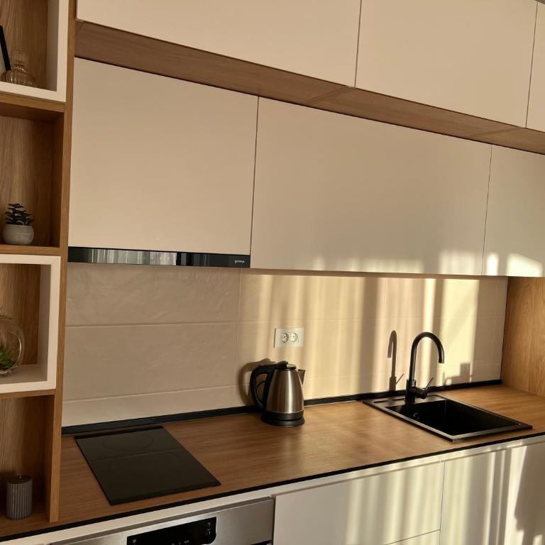 Prirodni Raj-Udoban Sokobanja Apartman - Apartman sa 1 Spavaćom Sobom - 11