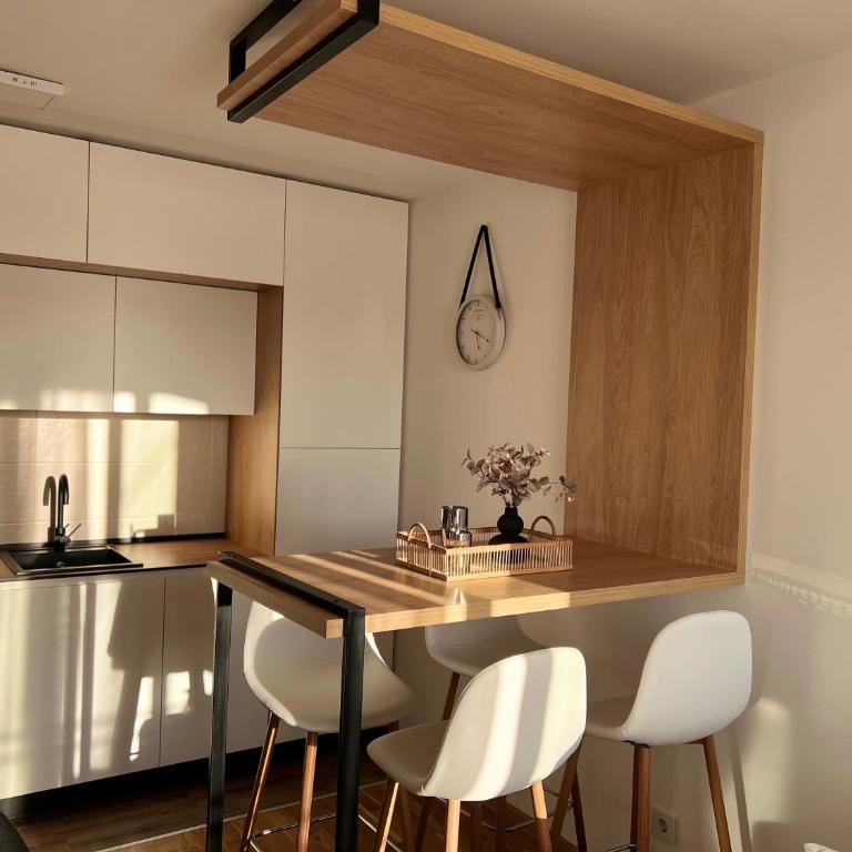 Prirodni Raj-Udoban Sokobanja Apartman - Apartman sa 1 Spavaćom Sobom - 9