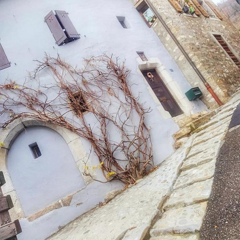Maison avec 2 espaces separes sur 2 niveaux distincts, Montreux,Festivals,Chateaux de Chillon,FreddieMercury,Casino,lac leman plages,montagne, Pour voyageurs souhaitant partager une maison familiale et economique, 15 minutes a pied du centre en descente - Apartment mit 1 Schlafzimmer - 3