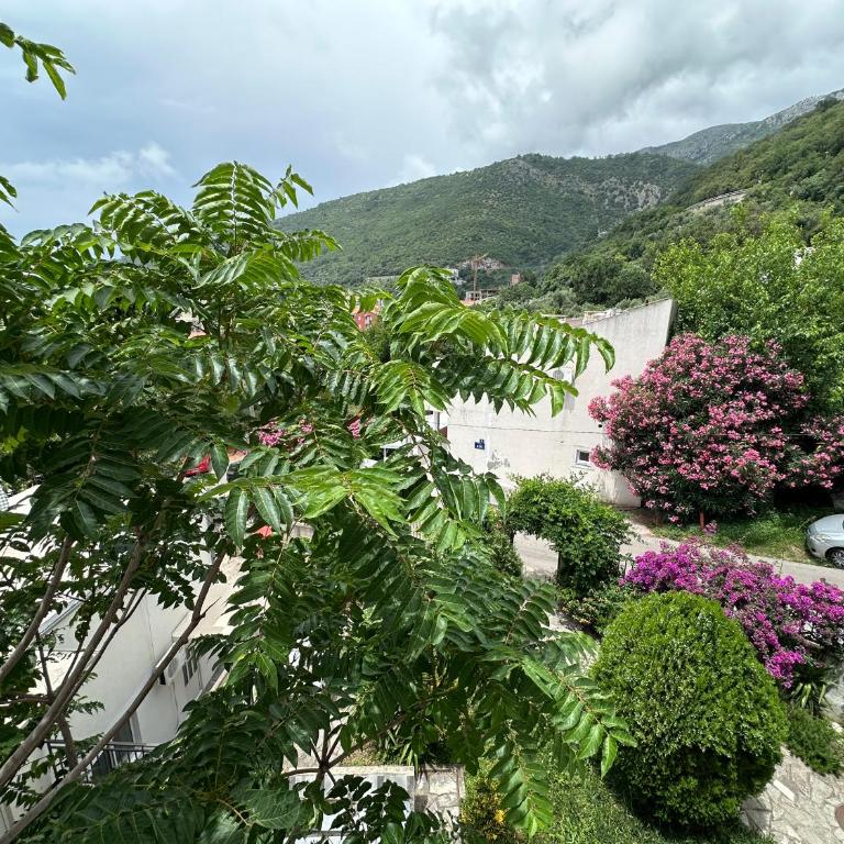 Summer Apartment Petrovac - Two-Bedroom Apartment with Balcony and Sea View - 25