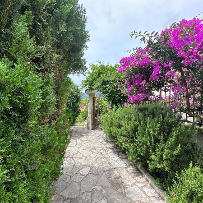 Summer Apartment Petrovac - Two-Bedroom Apartment with Balcony and Sea View - 28