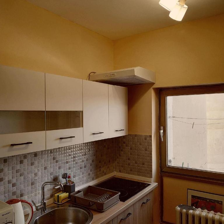 Genex Gate - Apartman sa 1 Spavaćom Sobom - 13