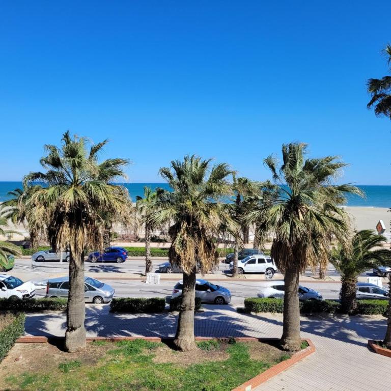Canet-en-Roussillon: T2 5 pers, vue mer, proche plage - FR-1-794-109 - Apartment - 2