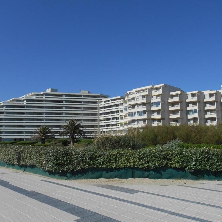 Canet-en-Roussillon - T2 moderne 4 pers, accès direct plage, terrasse vue mer - FR-1-794-103 - Apartment - 13