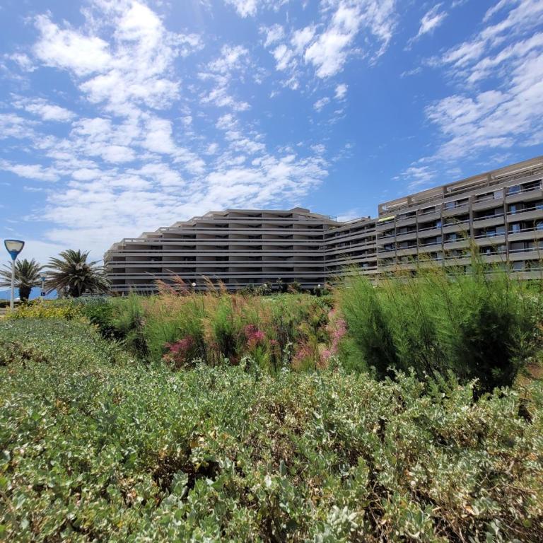 Canet-en-Roussillon T2 moderne 4 pers, accès plage, WiFi, box privé - FR-1-794-110 - Apartment - 16