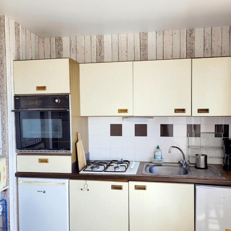 T2 cosy avec terrasse vue mer, 4 pers, calme - FR-1-794-108 - Appartement - 9