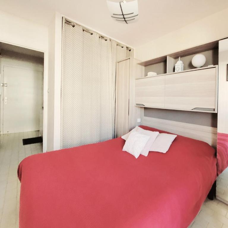 Canet-en-Roussillon T2 - 3 pers, Front de Mer, Ascenseur - FR-1-794-117 - Apartment - 12