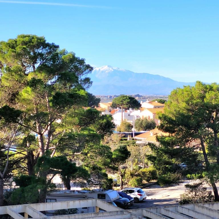 Canet-en-Roussillon: T2 moderne avec terrasse, parking privé et ascenseur pour 4 pers - FR-1-794-129 - Appartement - 13