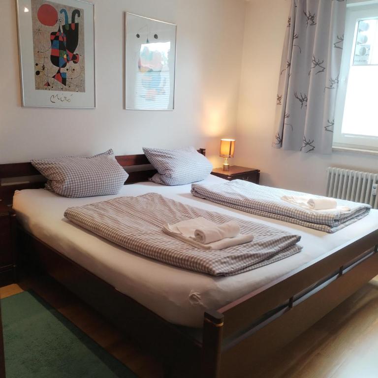 Haus Alpenland/Schneider - Appartamento con Vista Montagna - 7