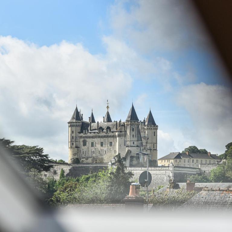 Appartement spacieux et lumineux - Centre - Bord Loire - Climatisation - Wifi - Tout Confort - Appartement 2 Chambres - 11